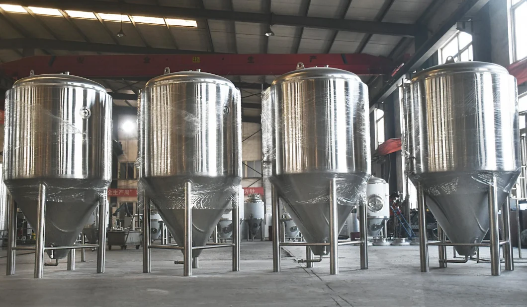High Quality SUS304 500L Beer Fermenter Tank for Brewing Equipment