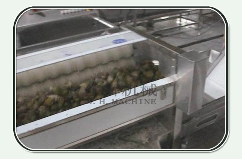 Automatic Noni Fruit Processing Line Equipment Noni Fruit Juicer Enzyme Pretreatment Equipment