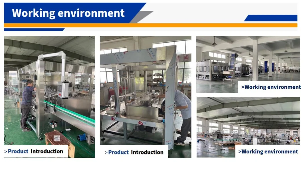 High Quality Dissolved Air Flotation Oily Wastewater Treatment Equipment for Pharmaceutical Sewage Pre-Treatment