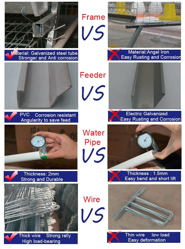 Galvanized and Welded Wire Mesh Folded Chicken Cages for Chicken Farms