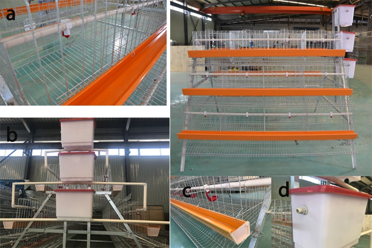 Galvanized and Welded Wire Mesh Folded Chicken Cages for Chicken Farms