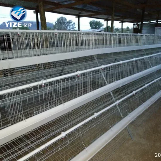 Factory Manufacture Starting Build a Chicken Farm
