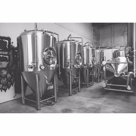 Different Capacity Custom Wine Fermentation Insulated Wine Storage Tank