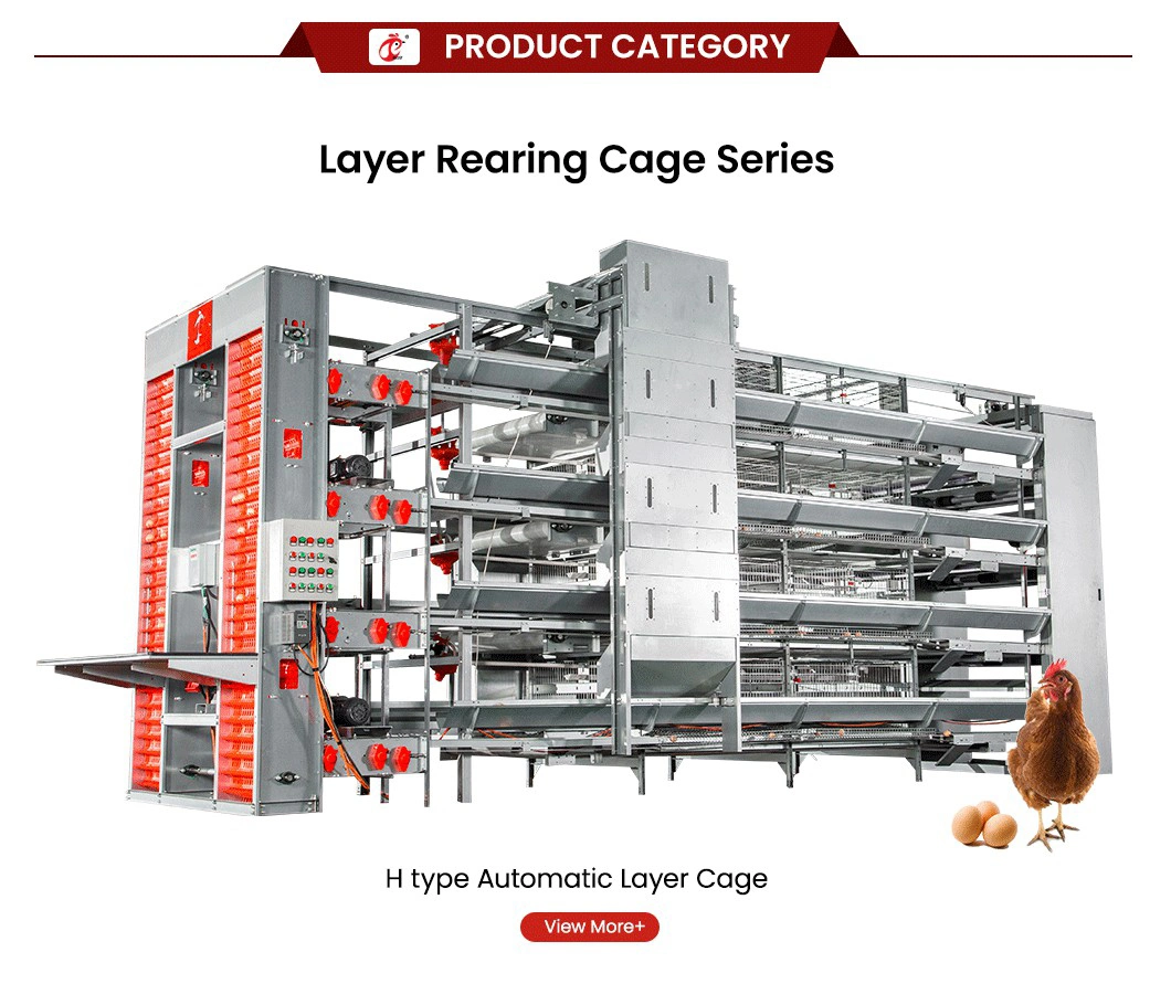 Bestchickencage Ordinary Type Layer Cage China Prefab Chicken Layer Coop Factory ODM Custom Durable / Multifunctional Layers Cage 20000 Chickens Poultry Farm