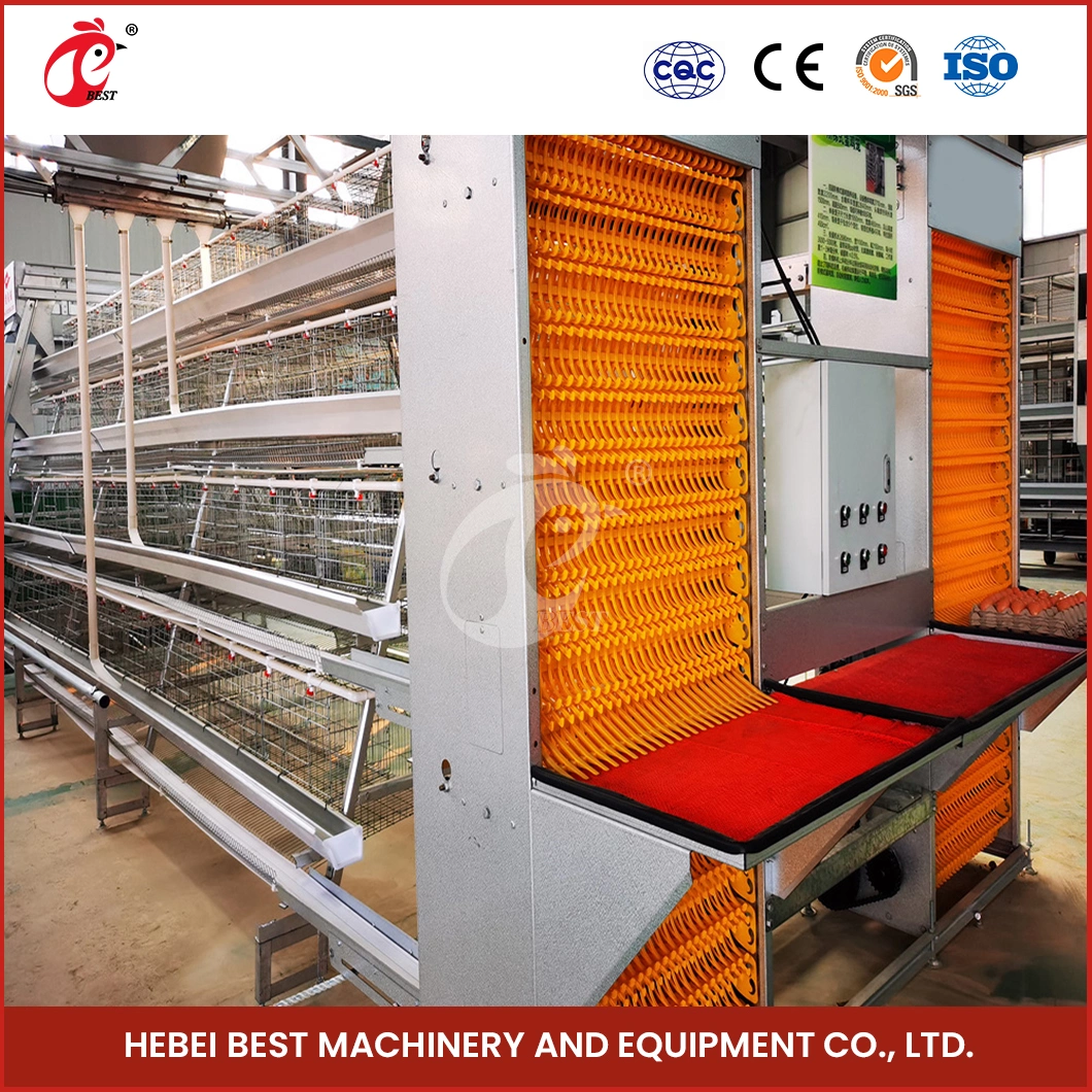 Bestchickencage Ordinary Type Layer Cage China Prefab Chicken Layer Coop Factory ODM Custom Durable / Multifunctional Layers Cage 20000 Chickens Poultry Farm