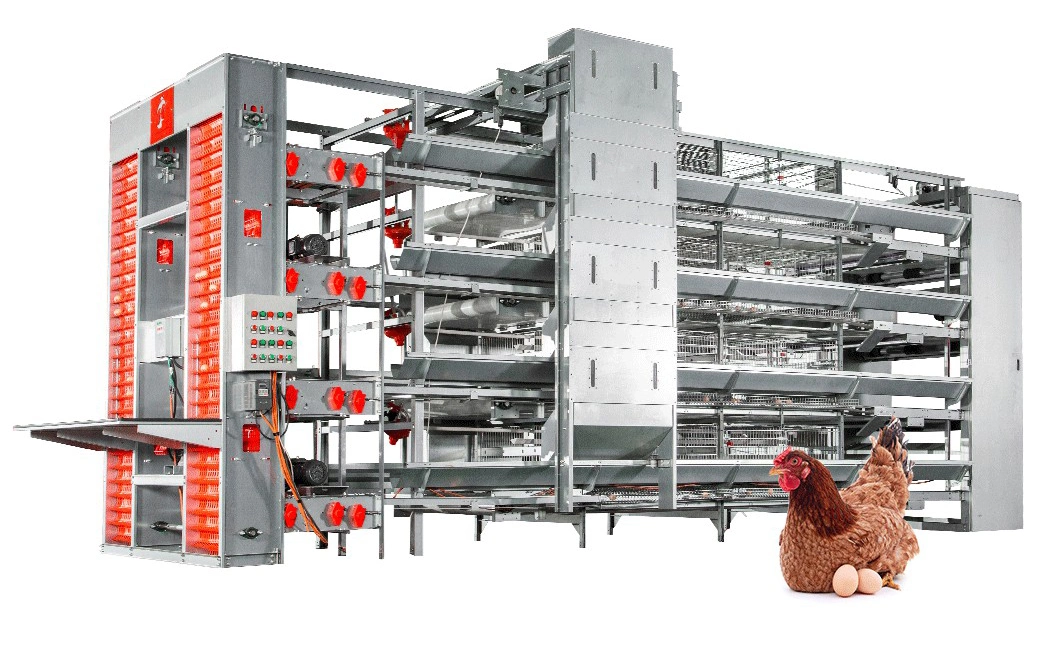 Bestchickencage H Type Layer Cage China Layer Cage Chicken Equipment Factory Free Sample ISO9001: 2008 Certification Layers Cage 20000 Chickens Poultry Farm