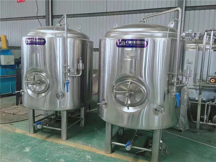5000L Fermenter Wine Storage Tanks Fermentation Tank SUS304 Brite Beer Tank