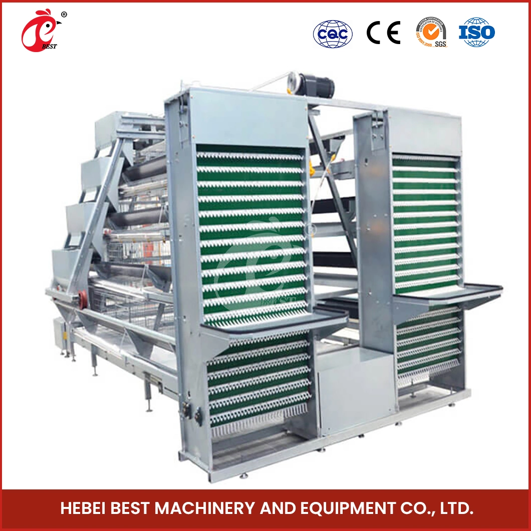 Bestchickencage a Type Layer Cage China Chicken Layer Cage 4m Manufacturer High-Quality Poultry Layer Cage Chicken Farm Configuration Waterer for Chicken Coop
