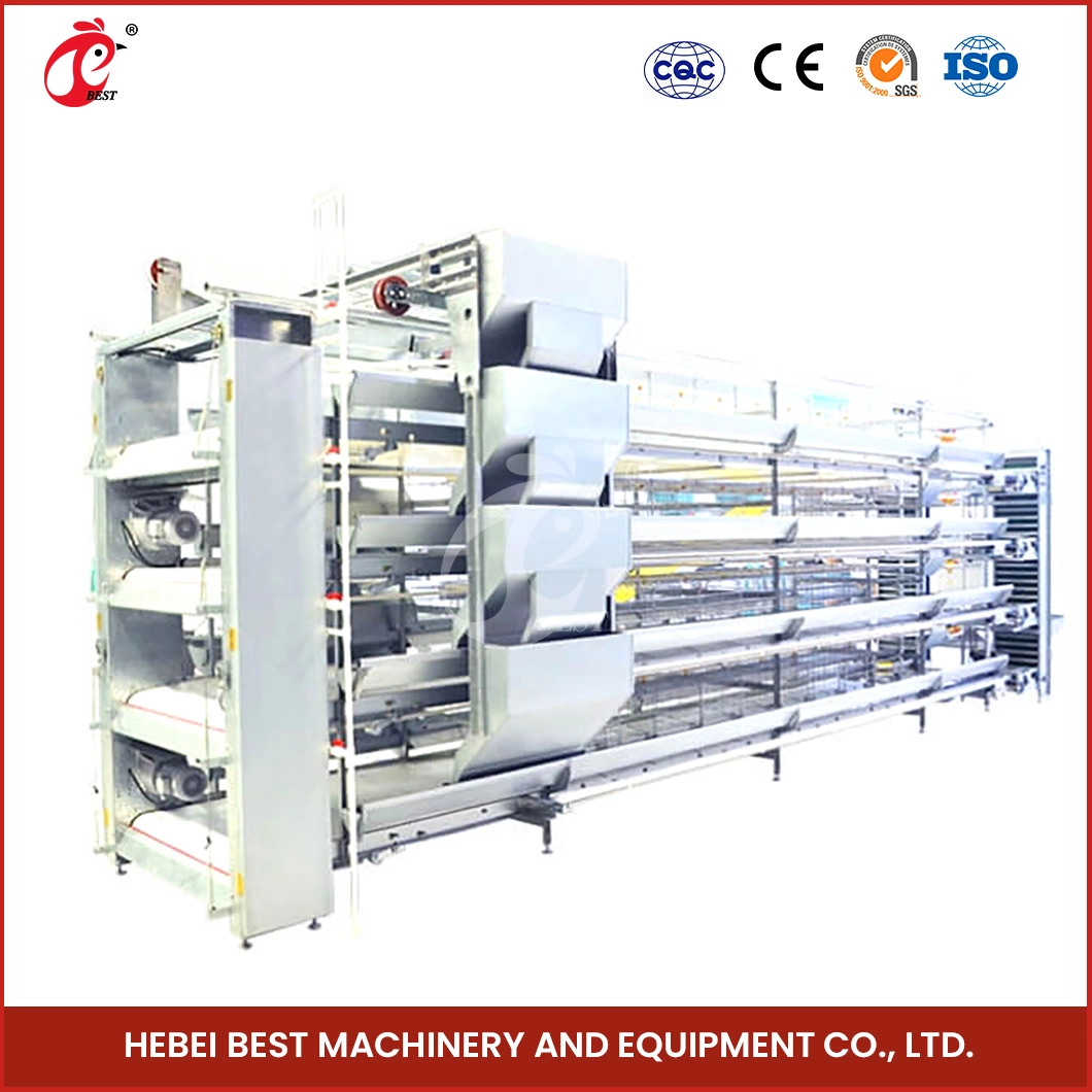 Bestchickencage H Type Layer Cage China Layer Cage Chicken Equipment Factory Free Sample ISO9001: 2008 Certification Layers Cage 20000 Chickens Poultry Farm