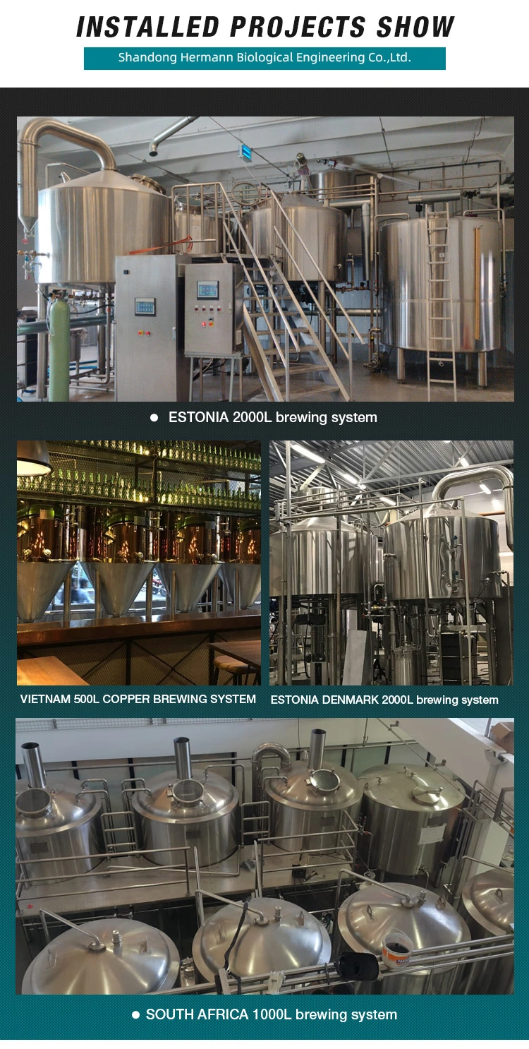 300L 500L 1000L 2000L Brewery Micro Beer Machine Brewing Equipment for Sale