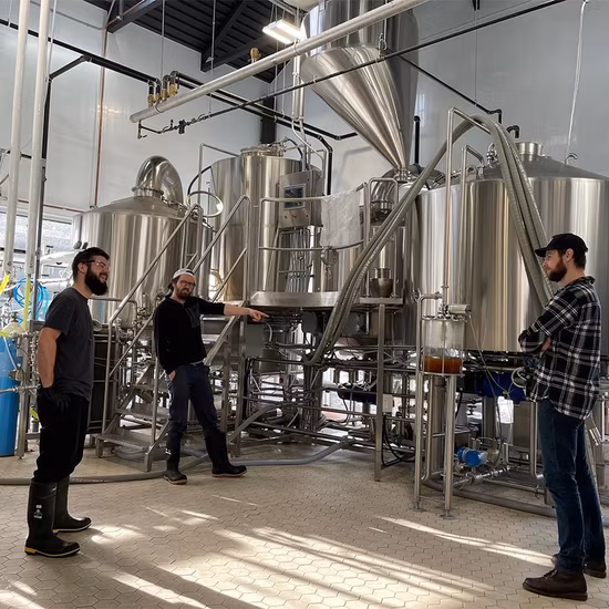 500L Brewhouse of Beer Brewing Equipment for Hotel Restaurant